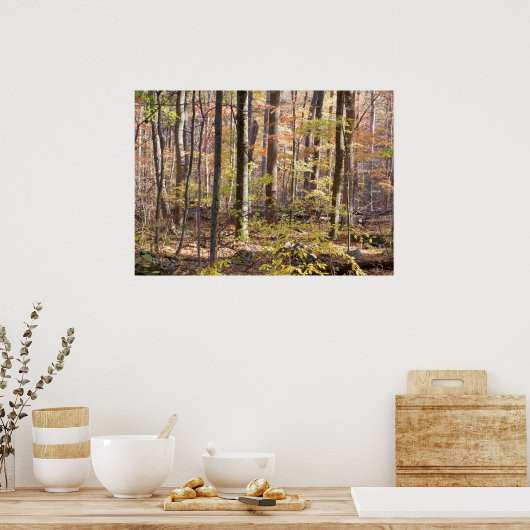 Bossen najaar poster (Keuken)