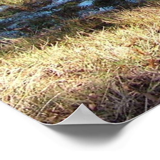 Bossen najaar poster (Hoek)