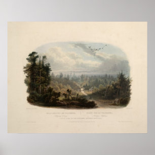 Bossen op de Tobihanna-bergen Poster