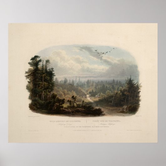 Bossen op de Tobihanna-bergen Poster (Voorkant)