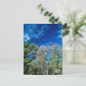 Bossen op het staatspark Mt. Laguana, Cleveland, O Briefkaart (Staand voorkant)