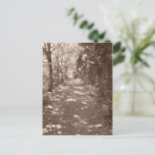 Bossen pad—Sepia Briefkaart (Staand voorkant)