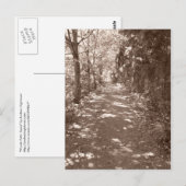Bossen pad—Sepia Briefkaart (Voorkant / Achterkant)