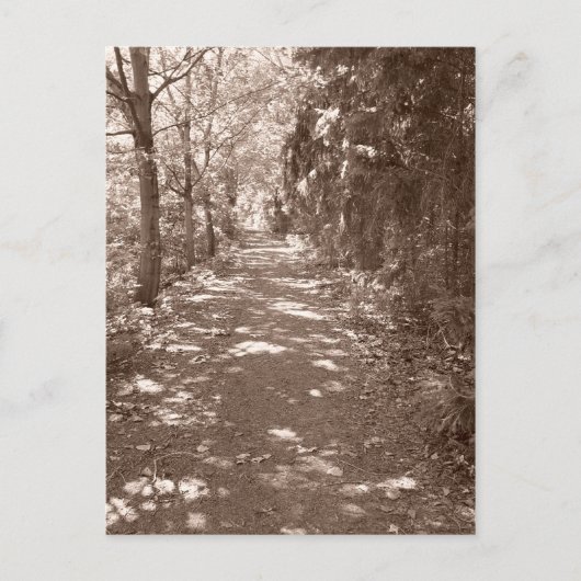 Bossen pad—Sepia Briefkaart (Voorkant)