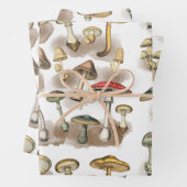  bossen paddenstoelen inpakpapier vel (In situ)