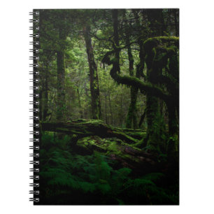 Bossen Routeburn Track Fiordland National Park Notitieboek