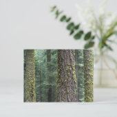 Bossen, Sequoia en Sequoia met reuzenbomen Briefkaart (Staand voorkant)
