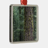 Bossen, Sequoia en Sequoia met reuzenbomen Metalen Ornament (Rechts)