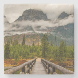 Bossen Stenen Onderzetter