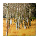 bossen tegel tegeltje (Voorkant)