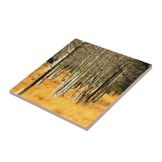 bossen tegel tegeltje (Zijkant)