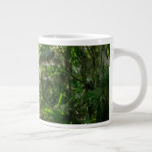 Bossen | Tropisch regenwoud Tulum Mexico Grote Koffiekop (Rechts)