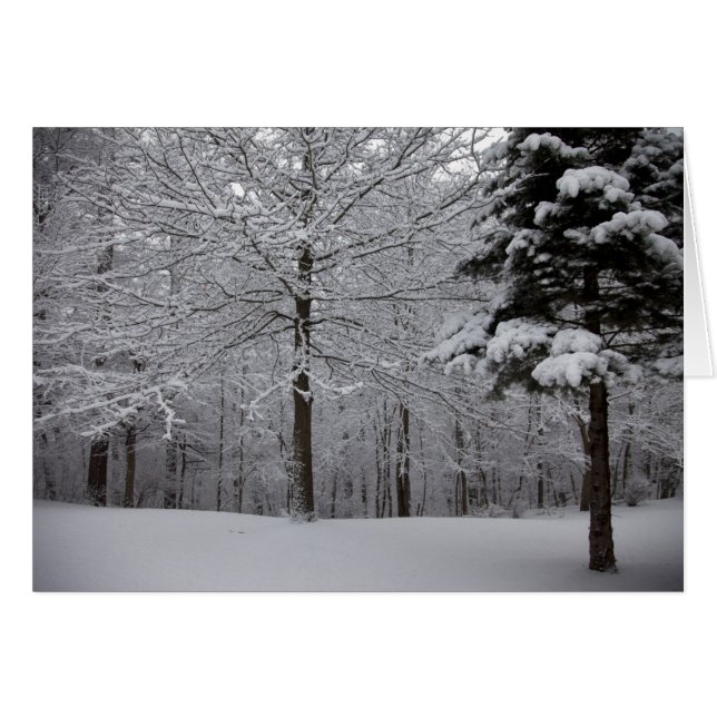 Bossen-Uitzicht (Voorkant Horizontaal)