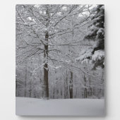 Bossen-Uitzicht Fotoplaat (Voorkant)