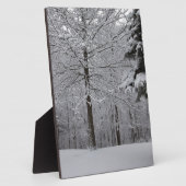 Bossen-Uitzicht Fotoplaat (Zijkant)