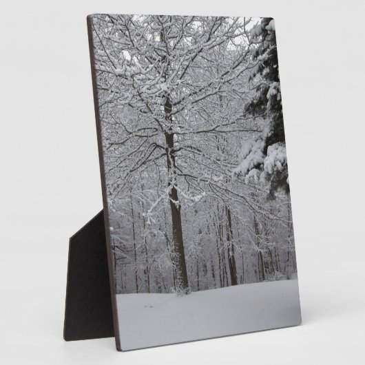 Bossen-Uitzicht Fotoplaat (Zijkant)