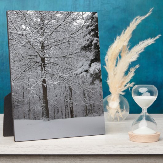 Bossen-Uitzicht Fotoplaat (Zijkant)