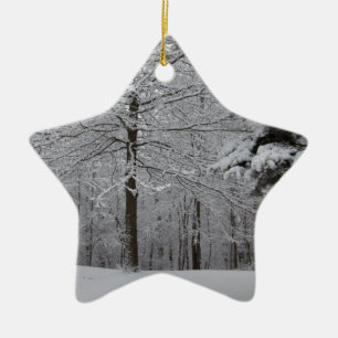 Bossen-Uitzicht Keramisch Ornament