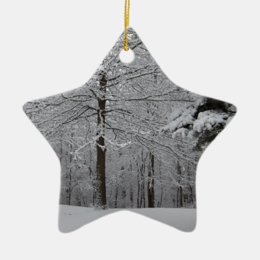 Bossen-Uitzicht Keramisch Ornament (Voorkant)