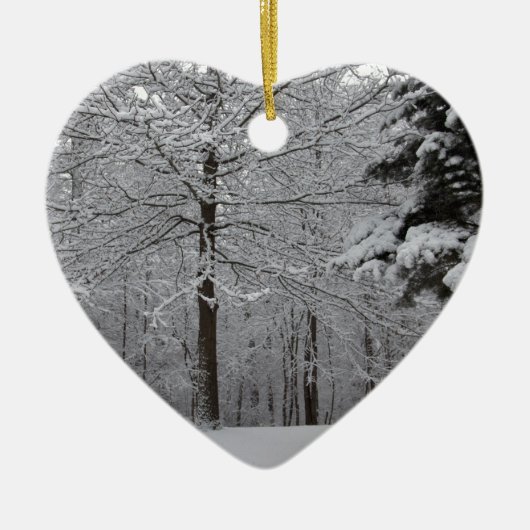 Bossen-Uitzicht Keramisch Ornament (Voorkant)