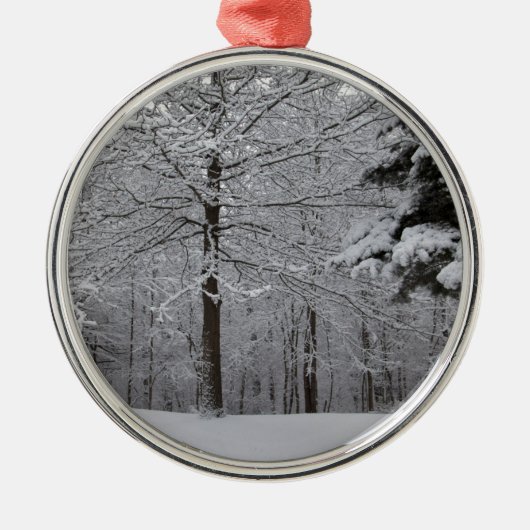 Bossen-Uitzicht Metalen Ornament (Voorkant)