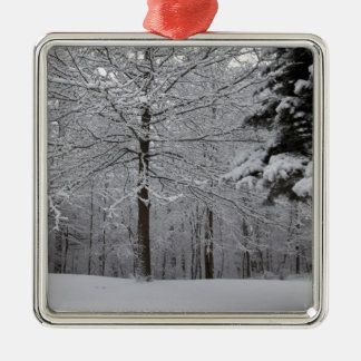 Bossen-Uitzicht Metalen Ornament