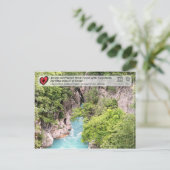 Bossen van beuken van de Oudheid en de Primeval - Briefkaart (Staand voorkant)