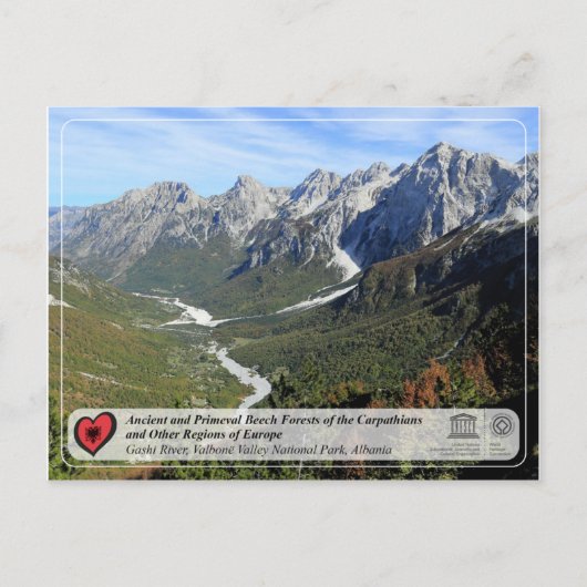 Bossen van beuken van de Oudheid en de Primeval -  Briefkaart (Voorkant)