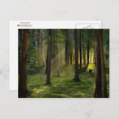 Bossen van Dawn Briefkaart (Voorkant / Achterkant)