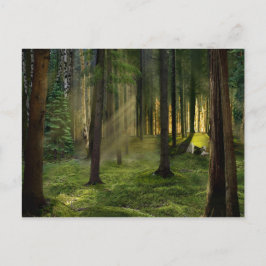 Bossen van Dawn Briefkaart
