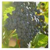 Bossen van de druiven Cabernet Sauvignon in het Ch Tegeltje (Voorkant)