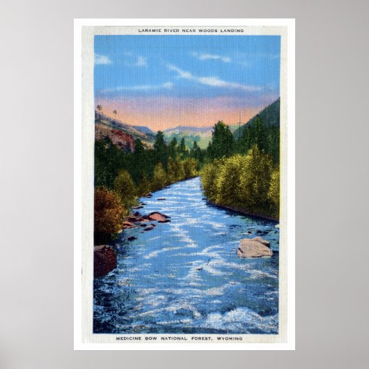 Bossen van de Laramie die WY aanvoeren Poster (Voorkant)