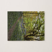 Bossen van de lente legpuzzel (Horizontaal)