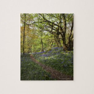Bossen van de lente legpuzzel