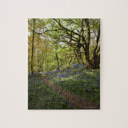 Bossen van de lente legpuzzel (Verticaal)