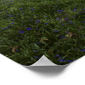 Bossen van de lente poster (Hoek)