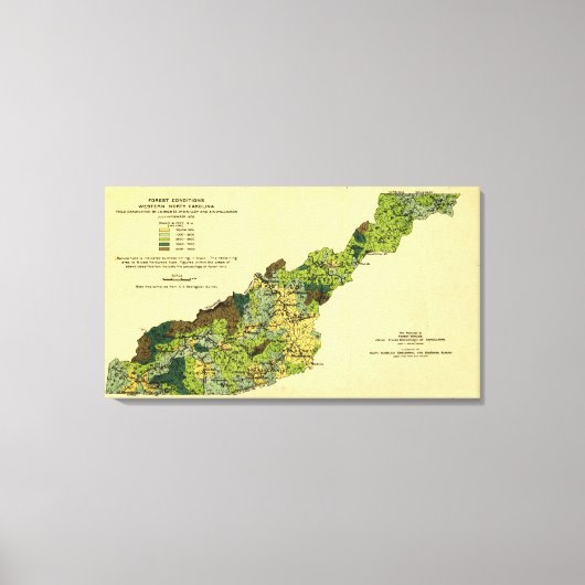 Bossen van de Westerne North CarolinaPanoramic Map Canvas Afdruk (Voorkant)