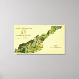 Bossen van de Westerne North CarolinaPanoramic Map Canvas Afdruk
