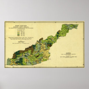 Bossen van de Westerne North CarolinaPanoramic Map Poster
