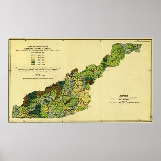 Bossen van de Westerne North CarolinaPanoramic Map Poster (Voorkant)