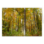 Bossen van geelbladeren Autumn Landschap (Voorkant Horizontaal)