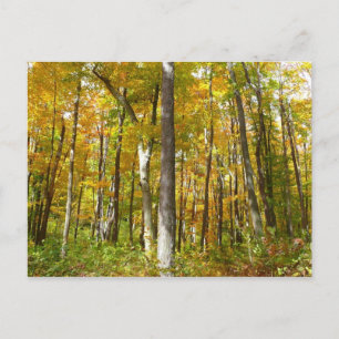 Bossen van geelbladeren Autumn Landschap Briefkaart
