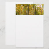 Bossen van geelbladeren Autumn Landschap Briefpapier (Voorkant / Achterkant)