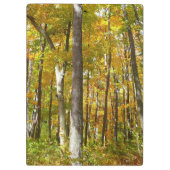 Bossen van geelbladeren Autumn Landschap Klembord (Achterkant)