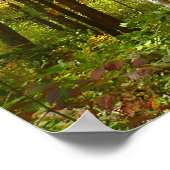 Bossen van geelbladeren Autumn Landschap Poster (Hoek)