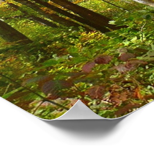 Bossen van geelbladeren Autumn Landschap Poster (Hoek)