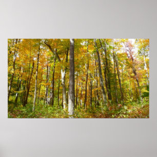 Bossen van geelbladeren Autumn Landschap Poster