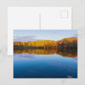 Bossen van het park Marthaler en de opkomst van de Briefkaart (Voorkant / Achterkant)