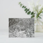 Bossen van het winterWonderland in de sneeuwfoto Briefkaart (Staand voorkant)
