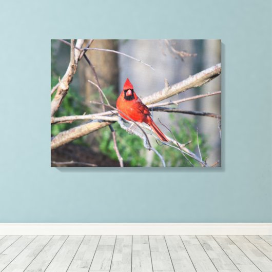 Bossen van kardinale lente canvas afdruk (Insitu (Houten vloer))